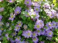 DSCF9788.webp