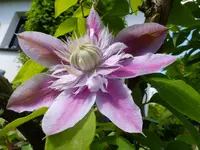DSCF9800.webp