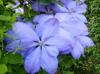 DSCF9803.webp