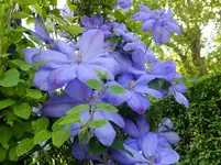 DSCF9804.webp