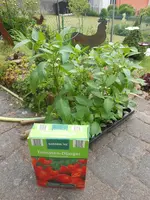 DSCN2391.webp