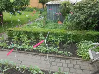 DSCN2406.webp