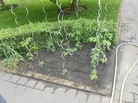 DSCN2405.webp
