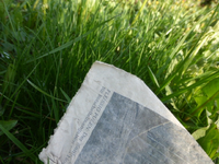 P1320870.webp