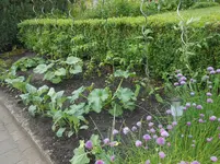 DSCN2404.webp