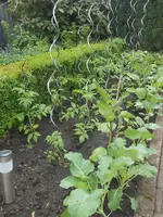 DSCN2403.webp