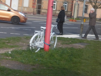 P1310759.webp