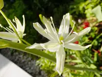 DSCF9795.webp
