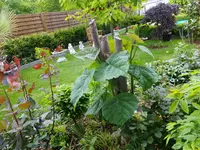 DSCF9007.webp