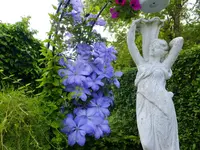 DSCF9801.webp