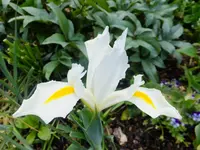 DSCF9812.webp