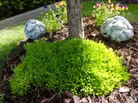 DSCF9806.webp