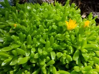 DSCF9807.webp