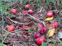 2015_04_22J&B (160)v.webp