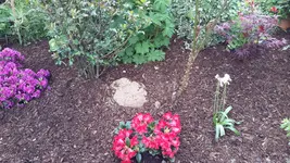20150526_120634.webp
