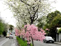 IMG_4402v.webp