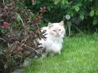 008.webp