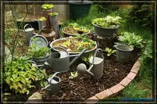 comp_DSC03561.webp