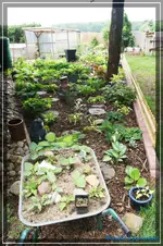 comp_DSC03563.webp