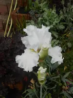 DSCN2398.webp