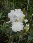 DSCN2397.jpg