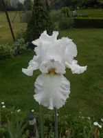 DSCN2399.webp