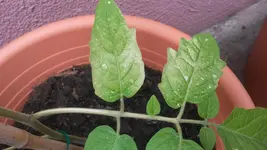 20150526_152202.webp