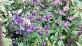 Allgemein 031.webp