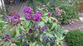 Allgemein 030.webp