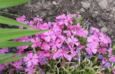Allgemein 028.webp
