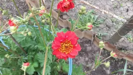 Allgemein 026.webp