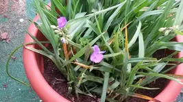 20150526_163842.webp