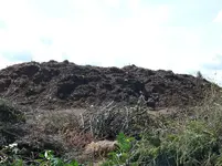 Häckselplatz.webp
