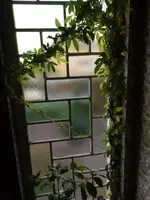 DSCF1202.webp