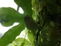 DSCF1203.webp
