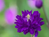 IMG_8238.webp