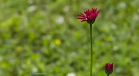 IMG_8255.webp
