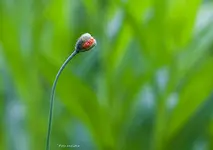 IMG_8275.webp