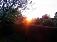 006.webp