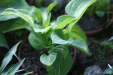 DSC03573.webp