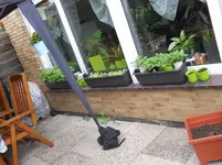 DSCN1249.webp