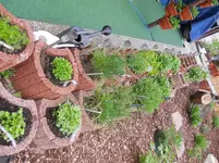 DSCN1253.webp