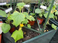 DSCN1256.webp
