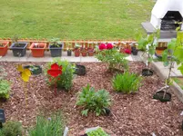 DSCN1261.webp