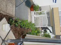 DSCN1264.webp