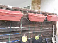 DSCN1265.webp