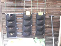 DSCN1267.webp