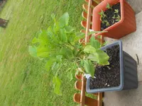 DSCN1278.webp