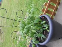 DSCN1280.webp