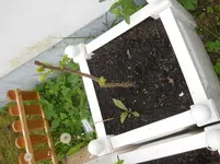 DSCN1283.webp